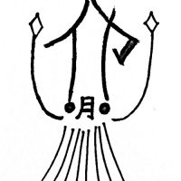 烏賊月静