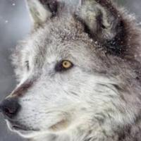 閲覧履歴間違えて削除してしまった