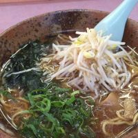 鶉と東方と結月