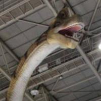 ノベルバユーザー602527