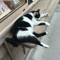 ノベルバユーザー615883