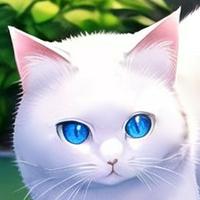 有木珠乃