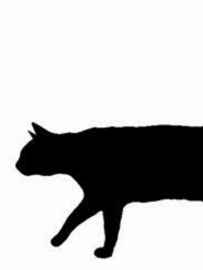 ねこの独り言