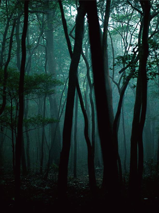 シャドウゲームズ