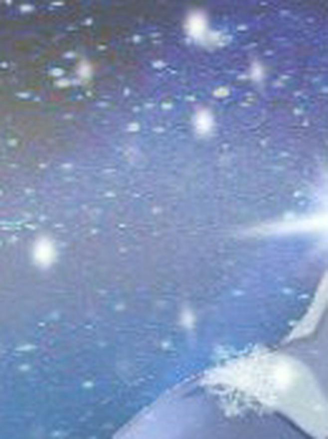 最弱になりすました最強