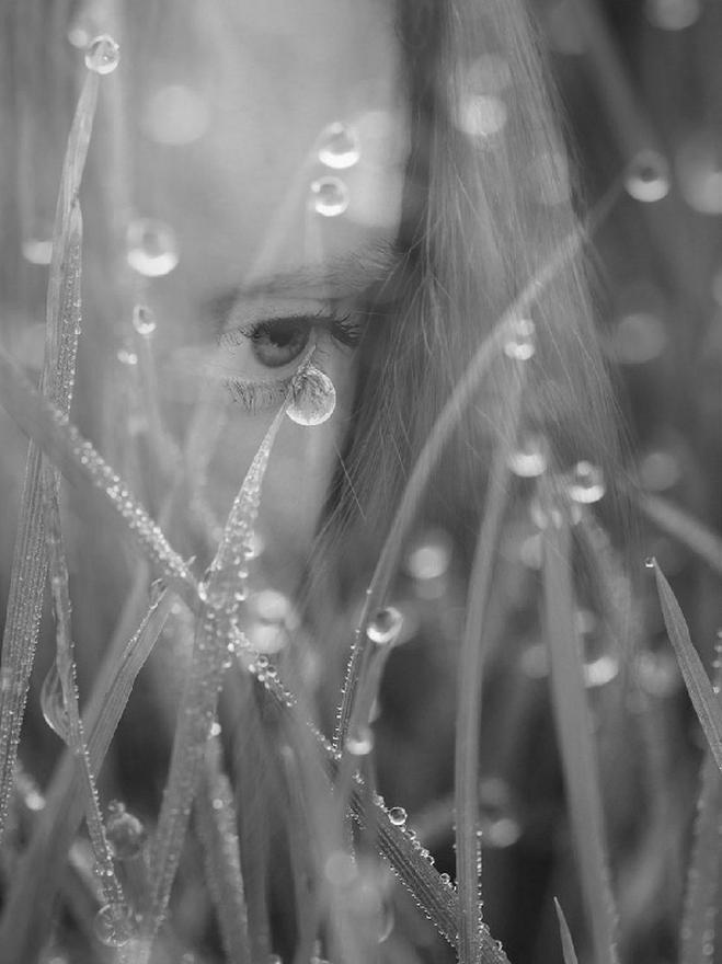 ちょっとだけ切ない短編集