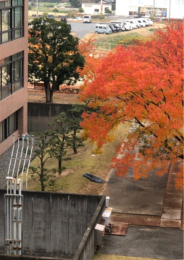 オペレーション オーバーロード Trpgリプレイ 小説投稿サイトのノベルバ