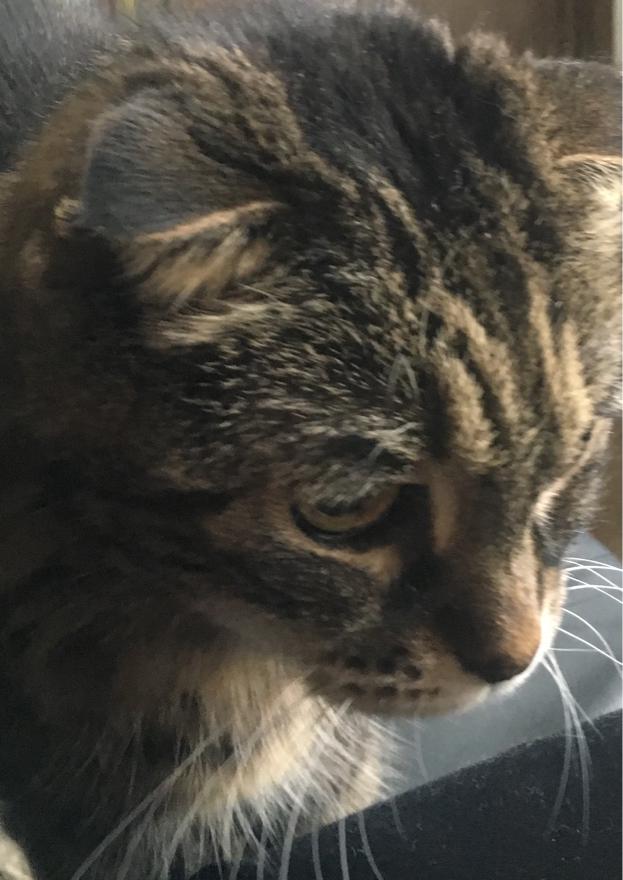 異世界逆転劇 異世界の怪しい果実を食べたら プロローグ 小説投稿サイトのノベルバ