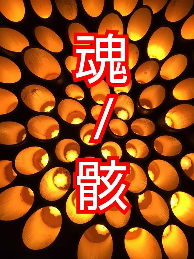魂/骸バトリング