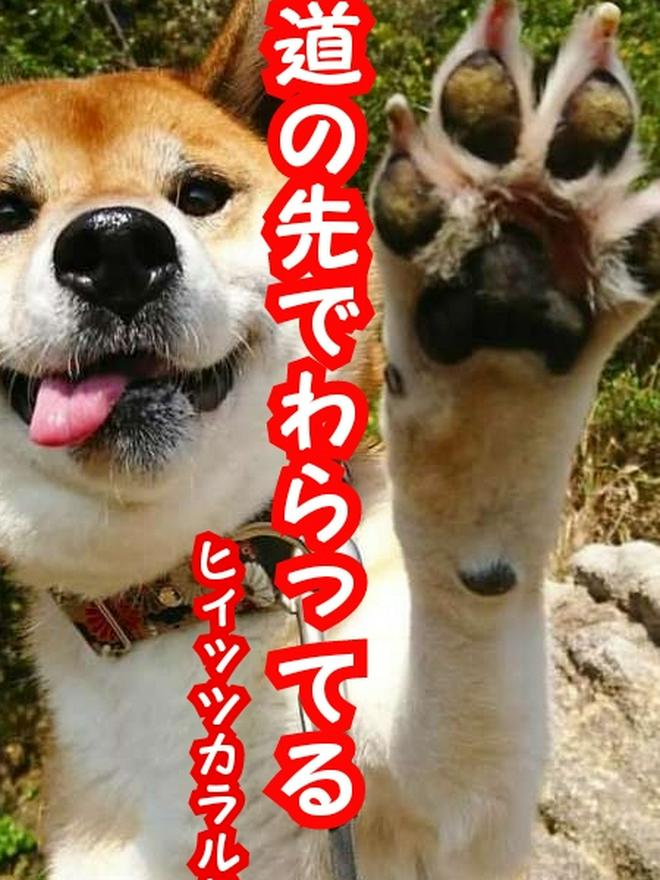 道の先で笑ってる。