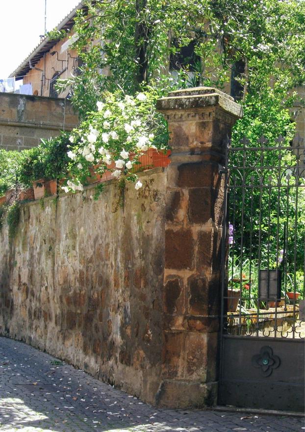 没落令嬢、貧乏騎士のメイドになります