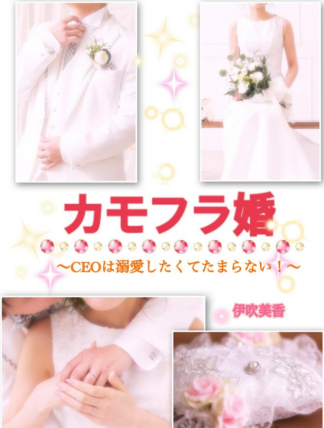 カモフラ婚～CEOは溺愛したくてたまらない！～