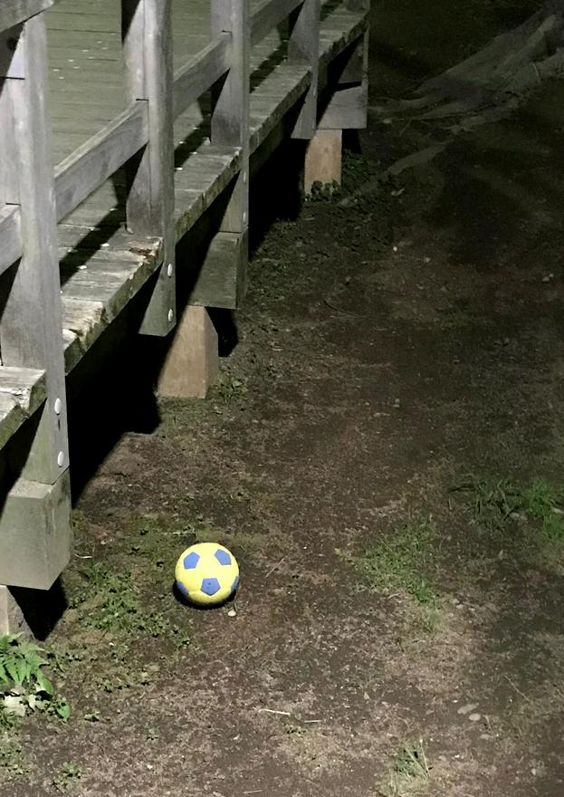 仏教かぶれの中道MYWAY