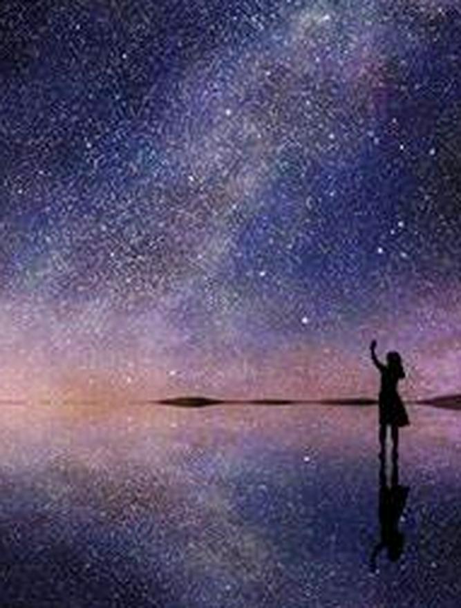 スターゲイザー