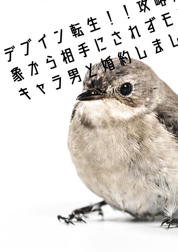 デブイン転生！！攻略対象から相手にされずモブキャラ男と婚約しました