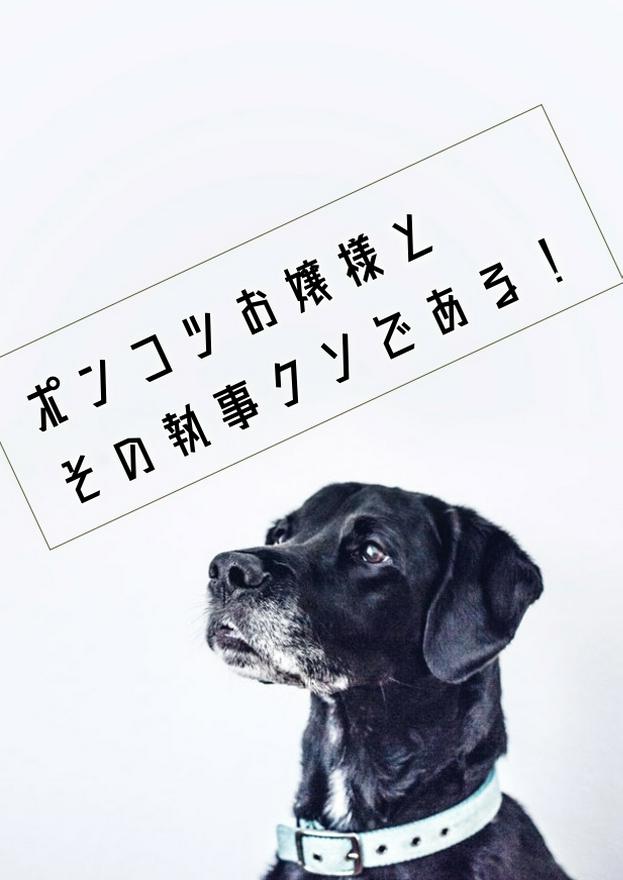 ポンコツお嬢様とその執事クソである