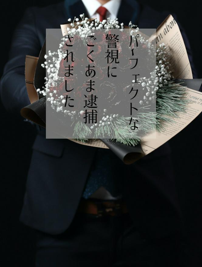 【完結】パーフェクトな警視にごくあま逮捕されました