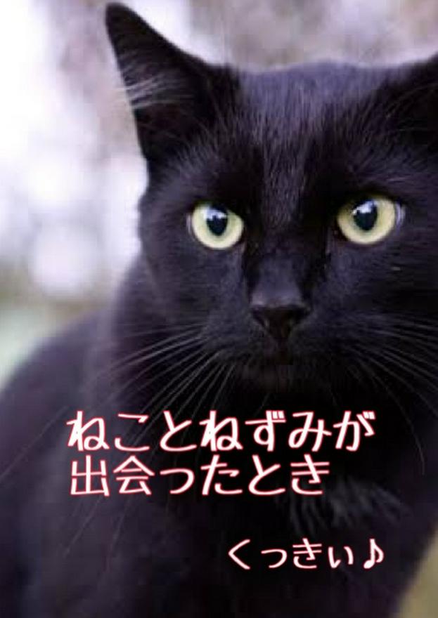 【佳作】ねことねずみが出会ったとき