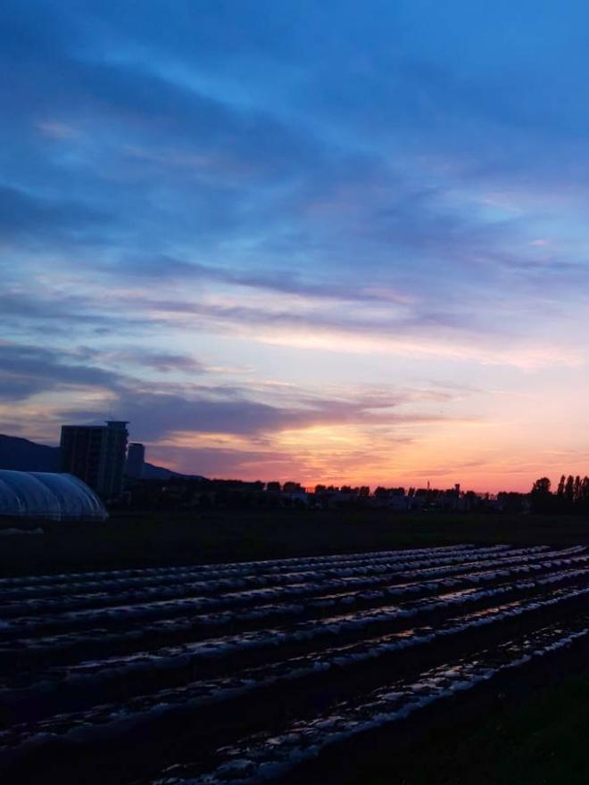 夏はキラキラ☆大嫌い