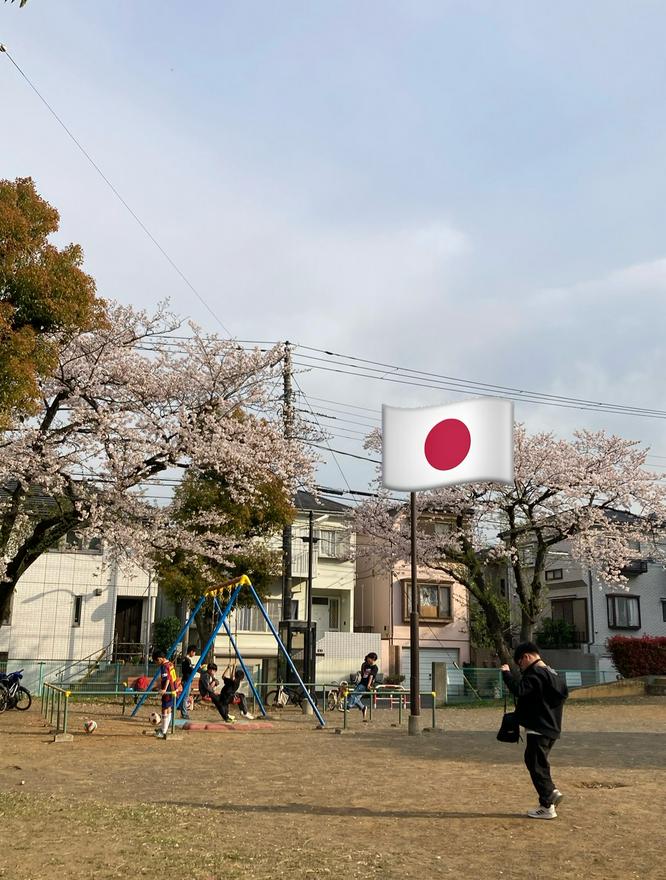 花見