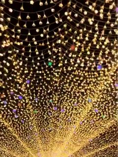 ダンジョン生活~魔族のダンジョン~