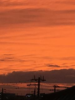 男女比がおかしい世界に飛ばされました