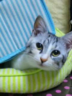 『そうだったんだ！』で時短・心を楽にする