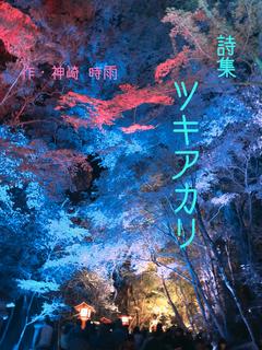 詩集 ツキアカリ