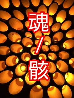 魂/骸バトリング