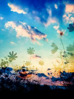 ハムスターファンタジー