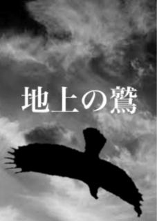 地上の鷲