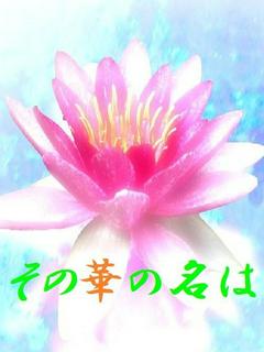 その華の名は