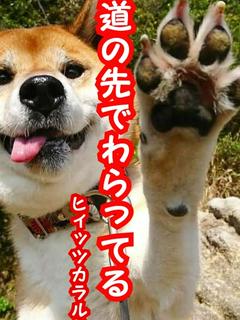 道の先で笑ってる。