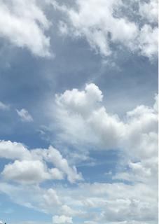 忘却不能な恋煩い