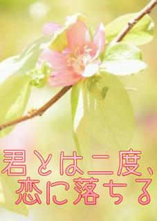 【コミカライズ原作】君とは二度、恋に落ちる〜初めましての彼に溺愛される理由〜