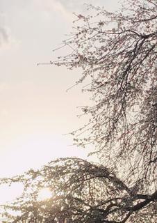 例え記憶が途切れても僕は君を想う