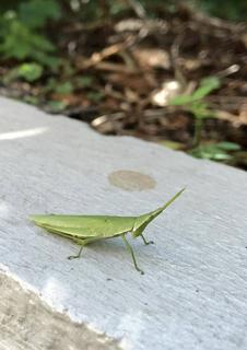 ビフと愉快な上司