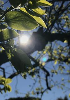 ある男とある梟の旅行記