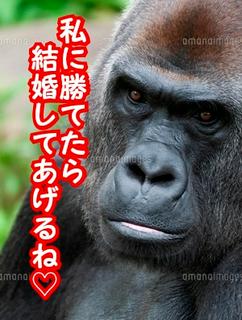 「私からスリーカウント取れたら結婚してあげるね♡」脳筋ゴリラ顔に転生したけれど彼女は戦う乙女です。