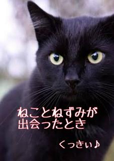 【佳作】ねことねずみが出会ったとき