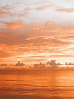 温暖化やめてほしいけど