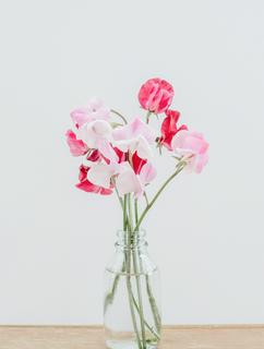 あれやこれや ３