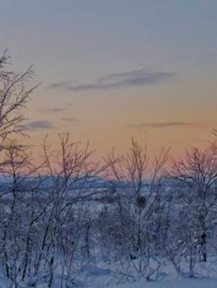 たいせつなこと