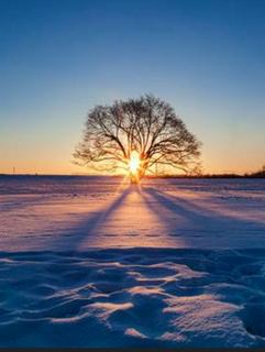 たいせつなこと　番外編＆付録