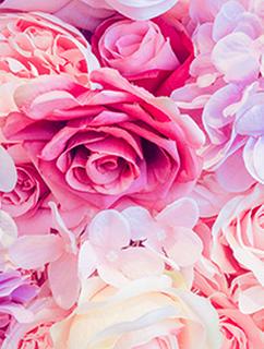 海の女王は小学生ｰおしゃべりティアラと海底王国の秘密ｰ