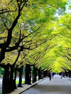 るるちゃんVS真当な医者