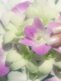 宝くじが当たったら、夫に殺されました。