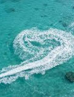 現代における幸福の追求