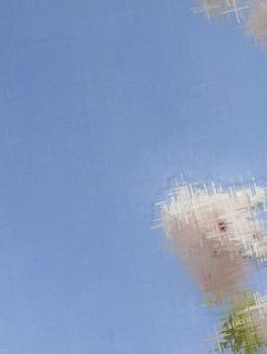 晴るはじめの明日を