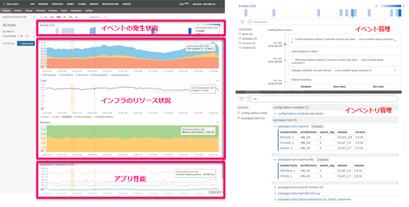 New Relic Infrastructure